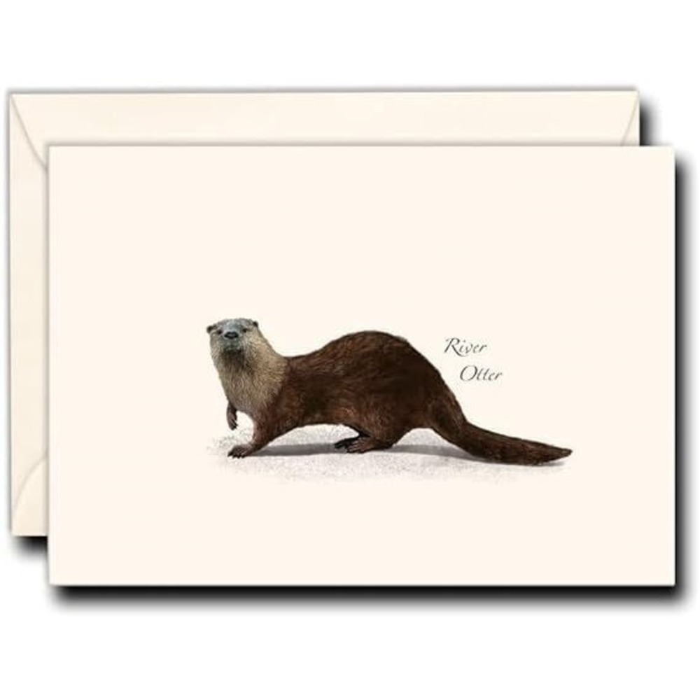 Earth Sky & Water River Otter Notecard Set 2 Pkgs of 8 Blank Cards‎ w/ Envelopes
